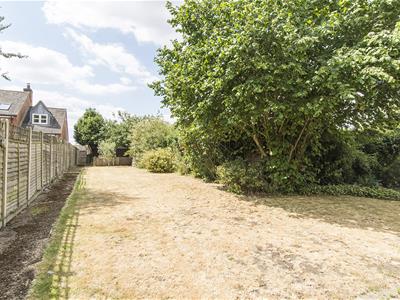 Picture 21